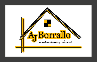 JAVIER BORRALLO TEJERO