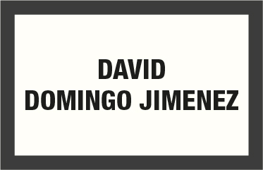DAVID DOMINGO JIMENEZ