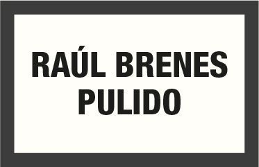 RAUL BRENES PULIDO