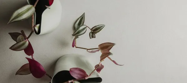Espacio de la casa con azulejos efecto cemento en tonos neutros, colección Maó de Navarti